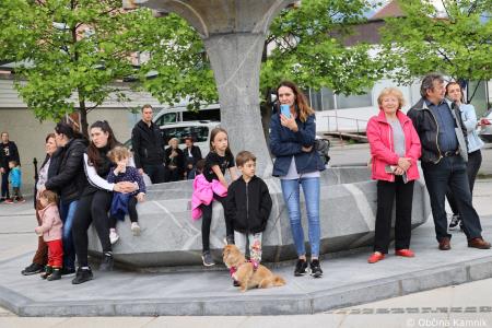 Čebela velikanka potuje po Kamniku (27)